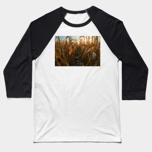 Corn field at sunset Baseball T-Shirt